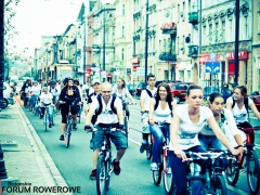 Biała Masa Krytyczna 2013