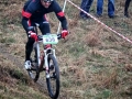IMG_4262_n.jpg