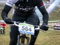 IMG_4383_n.jpg