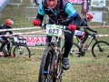 IMG_4437_n.jpg