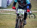 IMG_4438_n.jpg
