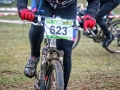 IMG_4439_n.jpg