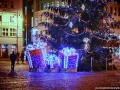 IMG_6105_got