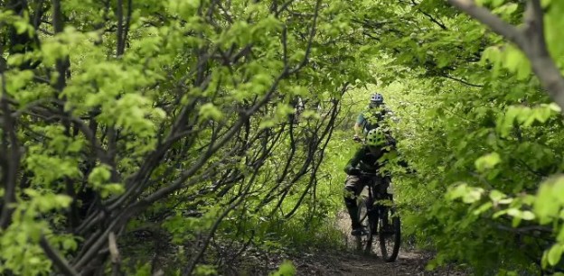 klatka z filmu Path Finder