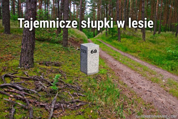 Jak nawigować betonowych słupkach w lesie