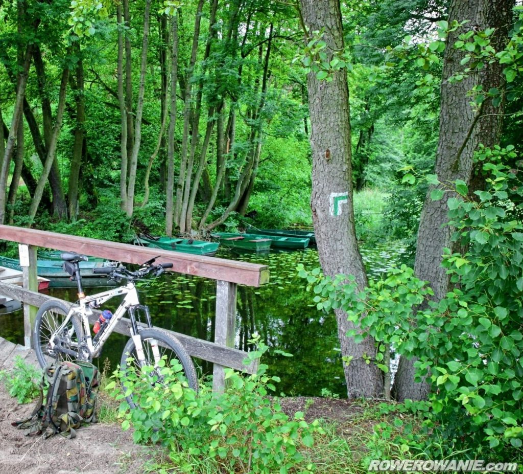 Zielony szlak pieszy i rower na drewnianym moście